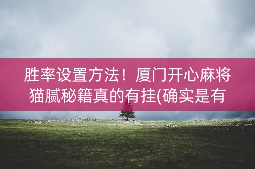 胜率设置方法！厦门开心麻将猫腻秘籍真的有挂(确实是有挂)