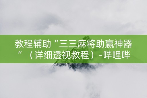 教程辅助“三三麻将助赢神器”（详细透视教程）-哔哩哔哩