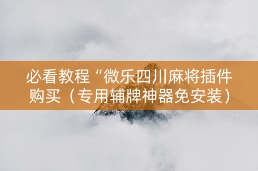 必看教程“微乐四川麻将插件购买（专用辅牌神器免安装）