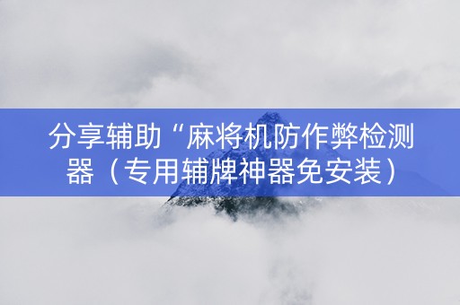分享辅助“麻将机防作弊检测器（专用辅牌神器免安装）