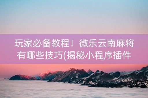 玩家必备教程！微乐云南麻将有哪些技巧(揭秘小程序插件购买)