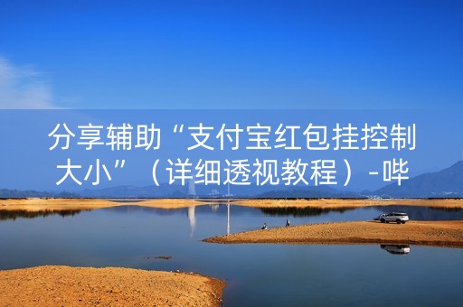 分享辅助“支付宝红包挂控制大小”（详细透视教程）-哔哩哔哩