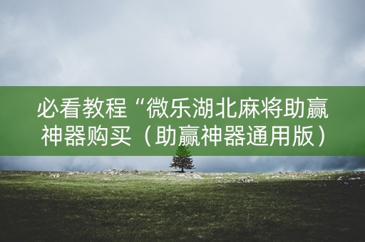 必看教程“微乐湖北麻将助赢神器购买（助赢神器通用版）