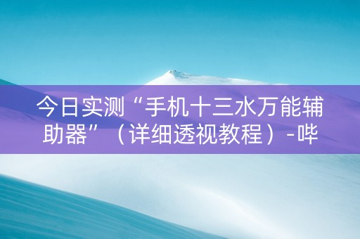 今日实测“手机十三水万能辅助器”（详细透视教程）-哔哩哔哩