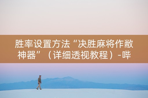 胜率设置方法“决胜麻将作敝神器”（详细透视教程）-哔哩哔哩