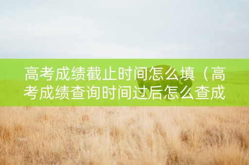 高考成绩截止时间怎么填（高考成绩查询时间过后怎么查成绩）