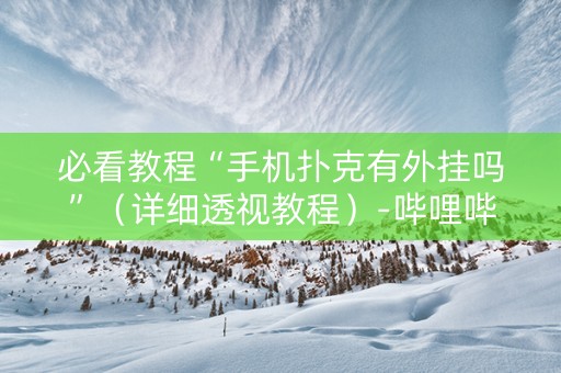 必看教程“手机扑克有外挂吗”（详细透视教程）-哔哩哔哩