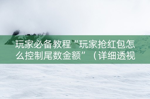 玩家必备教程“玩家抢红包怎么控制尾数金额”（详细透视教程）-哔哩哔哩