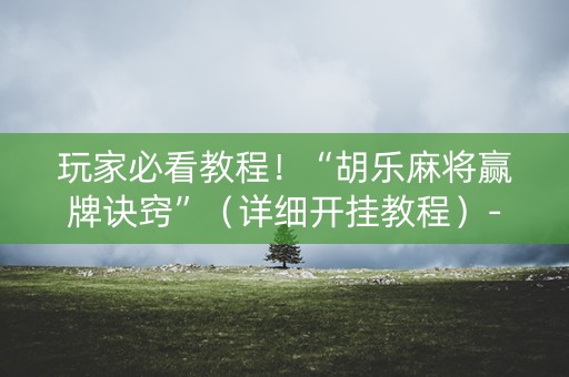 玩家必看教程！“胡乐麻将赢牌诀窍”（详细开挂教程）-哔哩哔哩