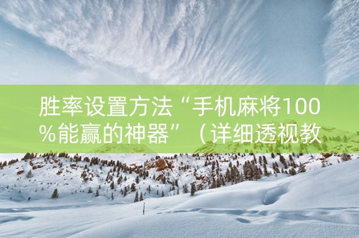 胜率设置方法“手机麻将100%能赢的神器”（详细透视教程）-哔哩哔哩