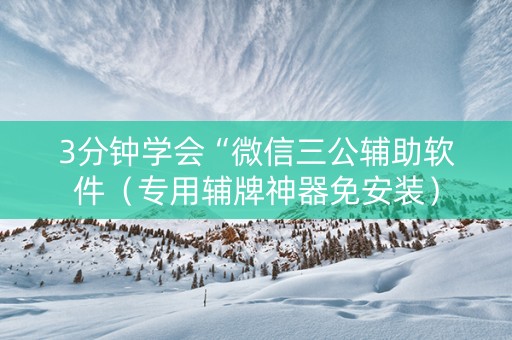3分钟学会“微信三公辅助软件（专用辅牌神器免安装）