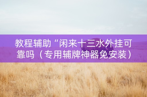教程辅助“闲来十三水外挂可靠吗（专用辅牌神器免安装）