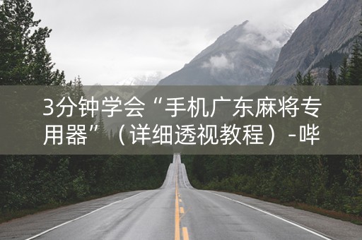 3分钟学会“手机广东麻将专用器”（详细透视教程）-哔哩哔哩