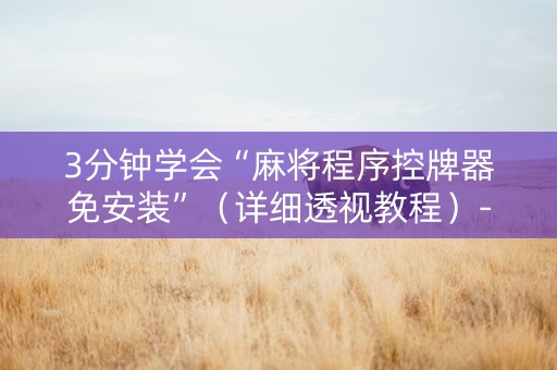 3分钟学会“麻将程序控牌器免安装”（详细透视教程）-哔哩哔哩