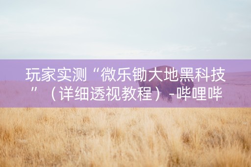 玩家实测“微乐锄大地黑科技”（详细透视教程）-哔哩哔哩