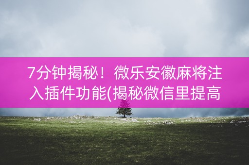7分钟揭秘！微乐安徽麻将注入插件功能(揭秘微信里提高胜率)