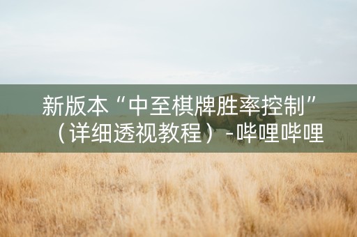 新版本“中至棋牌胜率控制”（详细透视教程）-哔哩哔哩
