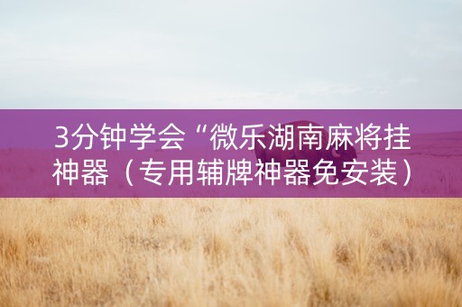 3分钟学会“微乐湖南麻将挂神器（专用辅牌神器免安装）