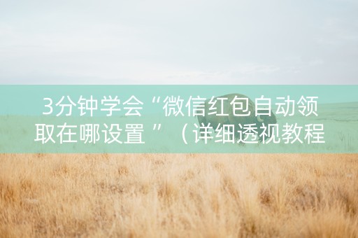 3分钟学会“微信红包自动领取在哪设置 ”（详细透视教程）-哔哩哔哩