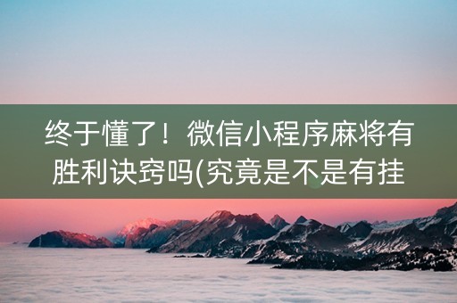 终于懂了！微信小程序麻将有胜利诀窍吗(究竟是不是有挂)