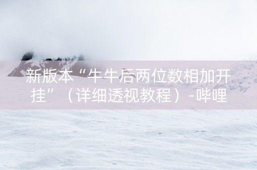 新版本“牛牛后两位数相加开挂”（详细透视教程）-哔哩哔哩