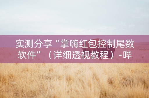 实测分享“掌嗨红包控制尾数软件”（详细透视教程）-哔哩哔哩