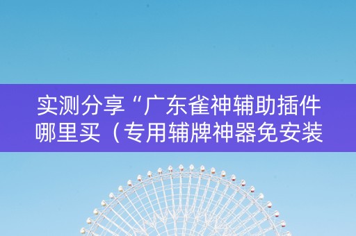 实测分享“广东雀神辅助插件哪里买（专用辅牌神器免安装）