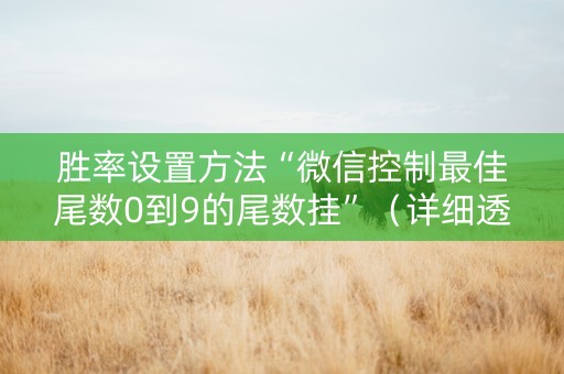 胜率设置方法“微信控制最佳尾数0到9的尾数挂”（详细透视教程）-哔哩哔哩