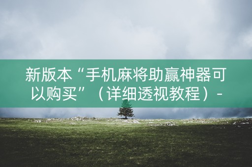 新版本“手机麻将助赢神器可以购买”（详细透视教程）-哔哩哔哩