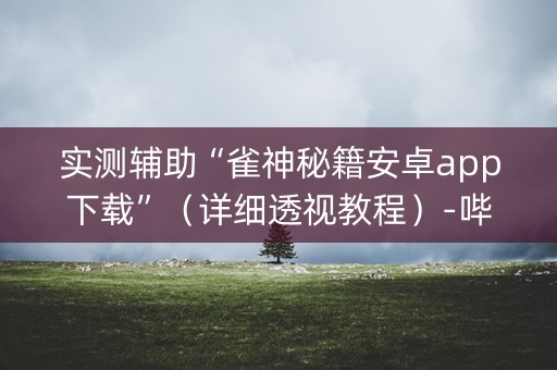 实测辅助“雀神秘籍安卓app下载”（详细透视教程）-哔哩哔哩