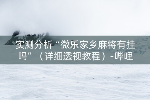 实测分析“微乐家乡麻将有挂吗”（详细透视教程）-哔哩哔哩