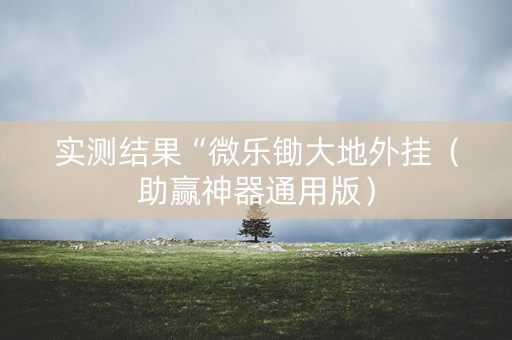 实测结果“微乐锄大地外挂（助赢神器通用版）