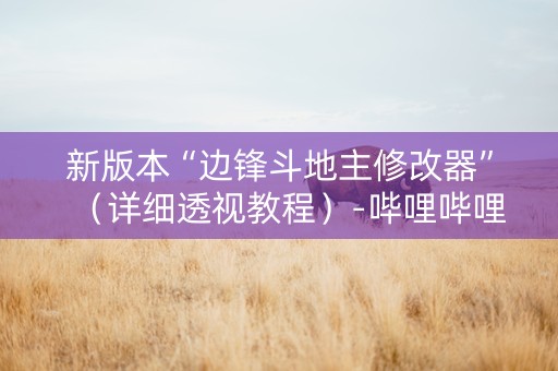新版本“边锋斗地主修改器”（详细透视教程）-哔哩哔哩