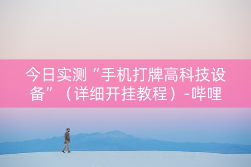 今日实测“手机打牌高科技设备”（详细开挂教程）-哔哩哔哩
