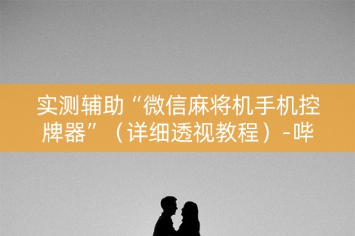 实测辅助“微信麻将机手机控牌器”（详细透视教程）-哔哩哔哩