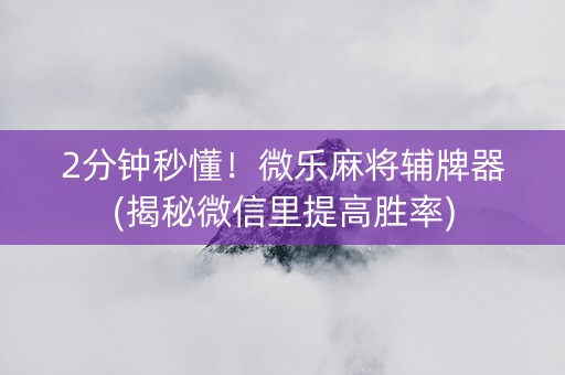 2分钟秒懂！微乐麻将辅牌器(揭秘微信里提高胜率)