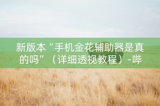 新版本“手机金花辅助器是真的吗”（详细透视教程）-哔哩哔哩