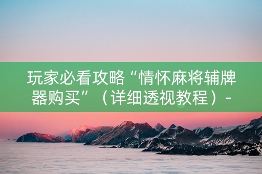 玩家必看攻略“情怀麻将辅牌器购买”（详细透视教程）-哔哩哔哩