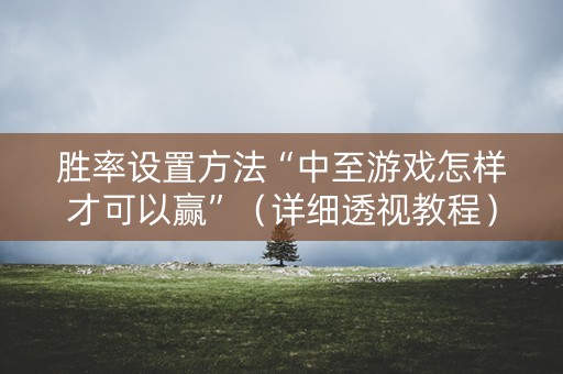 胜率设置方法“中至游戏怎样才可以赢”（详细透视教程）-哔哩哔哩