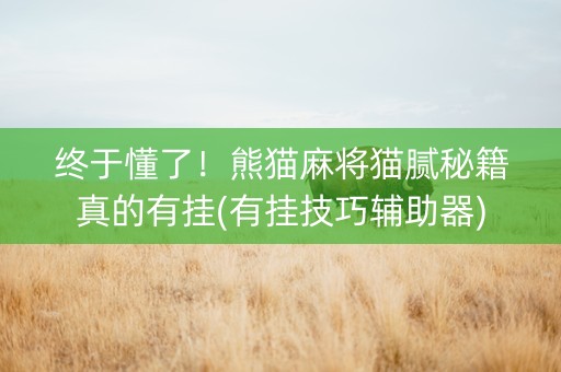 终于懂了！熊猫麻将猫腻秘籍真的有挂(有挂技巧辅助器)