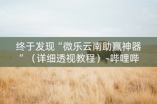 终于发现“微乐云南助赢神器”（详细透视教程）-哔哩哔哩