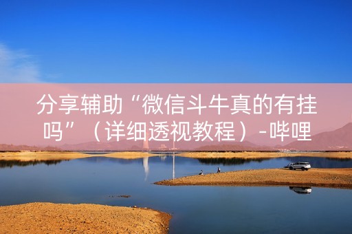 分享辅助“微信斗牛真的有挂吗”（详细透视教程）-哔哩哔哩