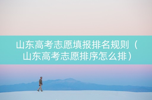 山东高考志愿填报排名规则（山东高考志愿排序怎么排）