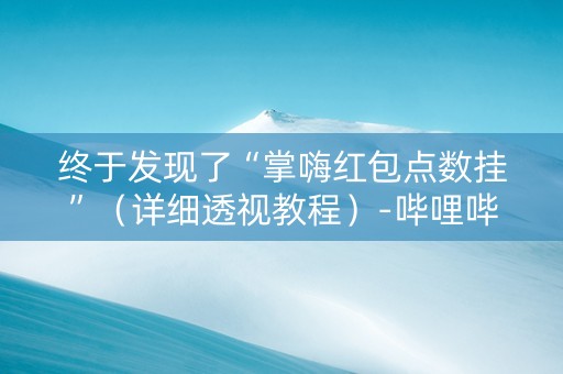 终于发现了“掌嗨红包点数挂”（详细透视教程）-哔哩哔哩