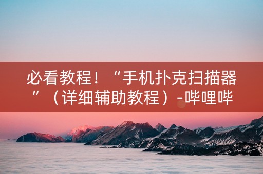 必看教程！“手机扑克扫描器”（详细辅助教程）-哔哩哔哩