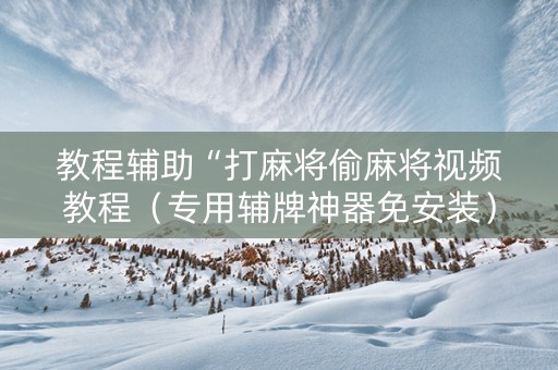 教程辅助“打麻将偷麻将视频教程（专用辅牌神器免安装）