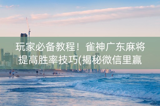 玩家必备教程！雀神广东麻将提高胜率技巧(揭秘微信里赢牌的技巧)