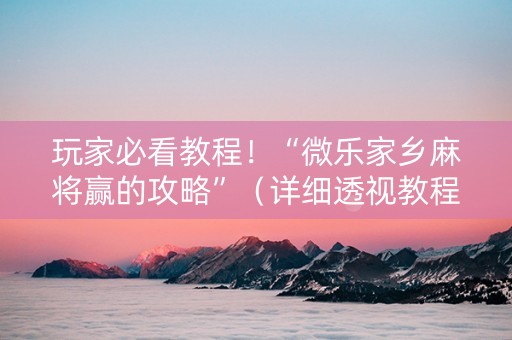 玩家必看教程！“微乐家乡麻将赢的攻略”（详细透视教程）-哔哩哔哩