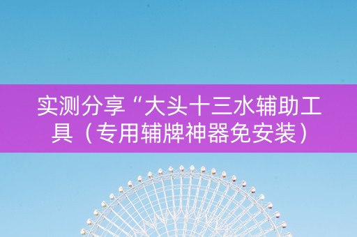 实测分享“大头十三水辅助工具（专用辅牌神器免安装）