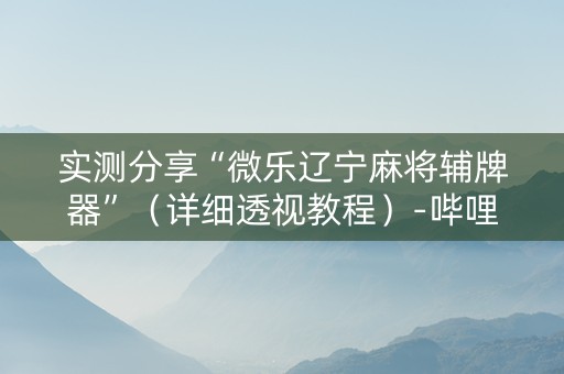 实测分享“微乐辽宁麻将辅牌器”（详细透视教程）-哔哩哔哩
